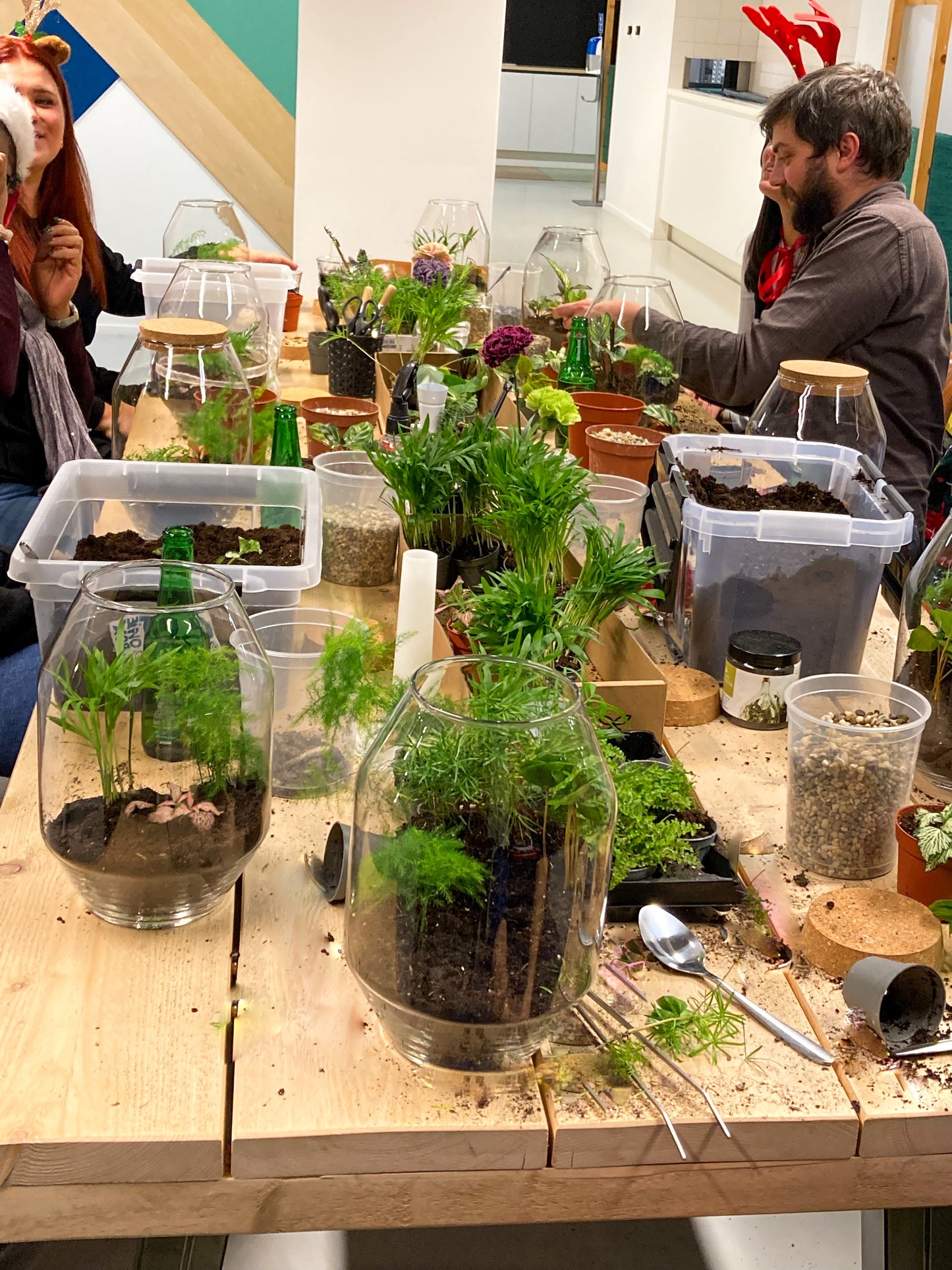 terrarium workshop