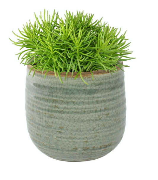Iris Mint Plant Pot D15 H14