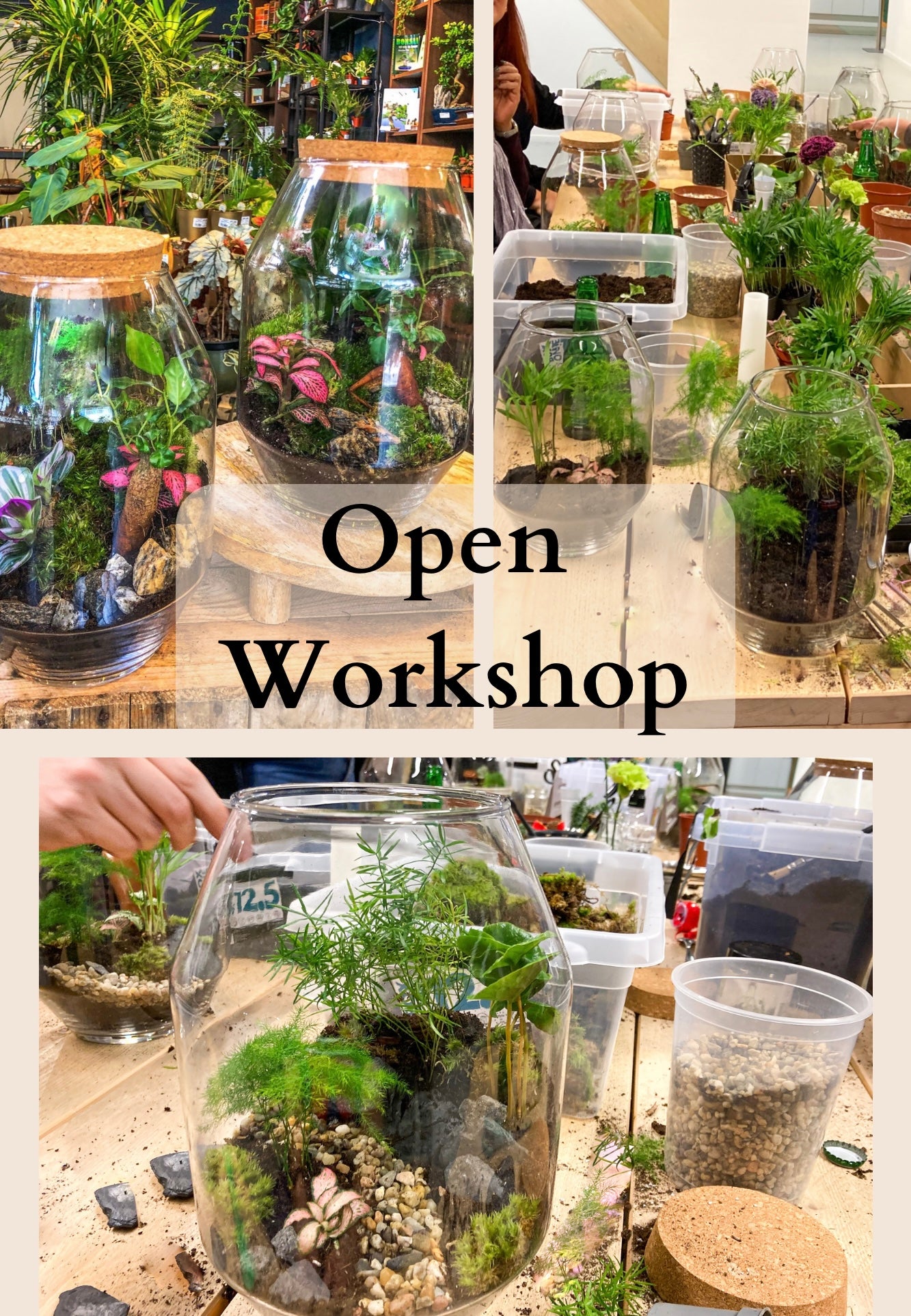 <tc>Public Terrarium Workshop - Amsterdam | 15/11 zaterdag</tc>