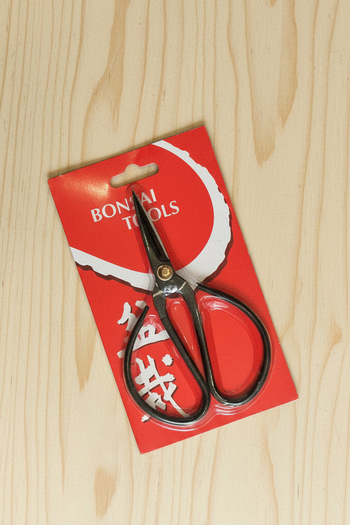 Bonsai Scissor