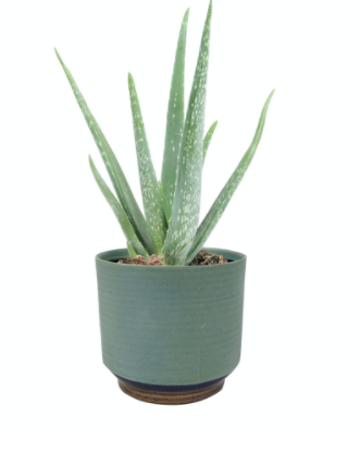 Pot Suze blue (3 sizes)