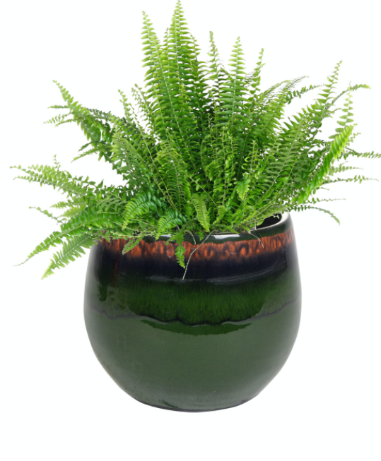 Pot Charlotte Green D15 H13