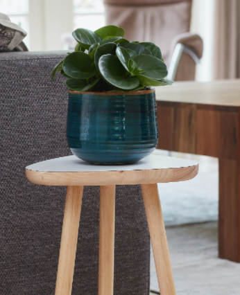 Pot Iris turquoise - 2 sizes