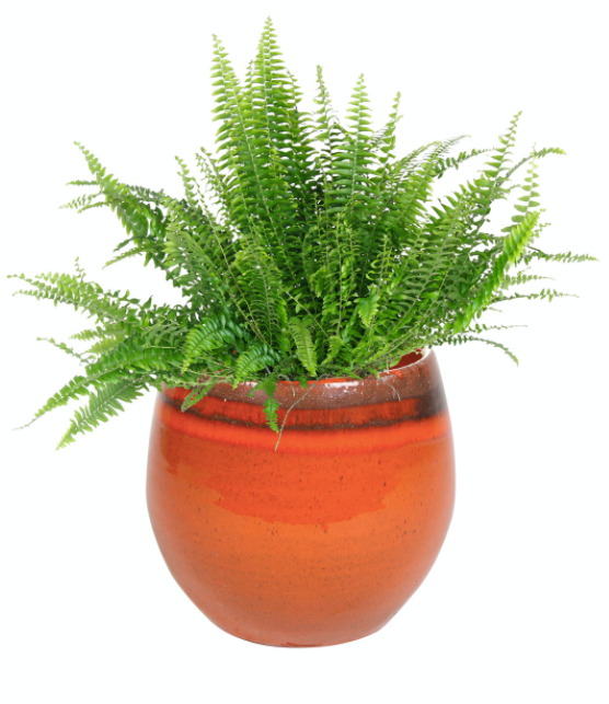 Pot Charlotte orange D15 H13