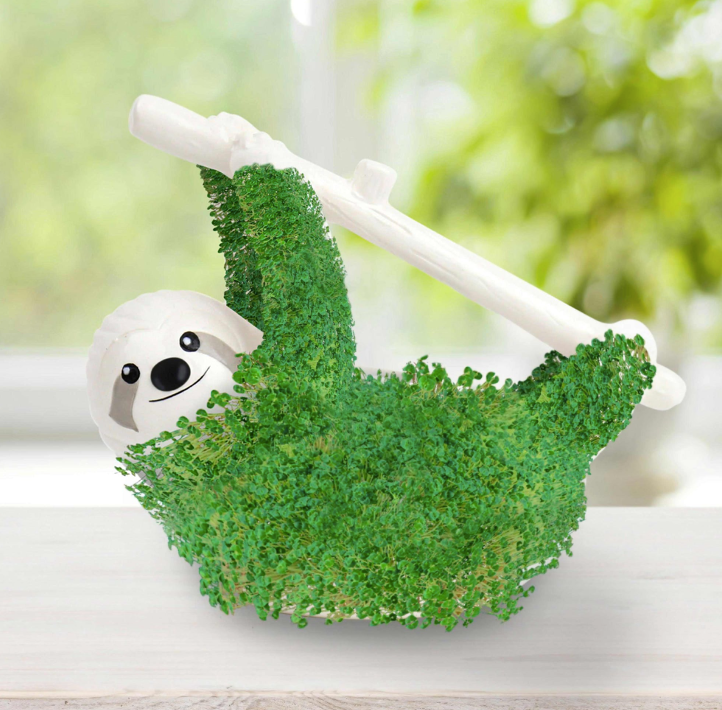 Chia Sloth-Grow Kit met Chia-zaden