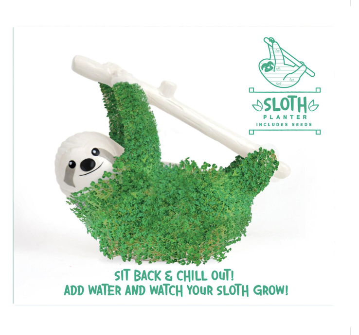 Chia Sloth-Grow Kit met Chia-zaden