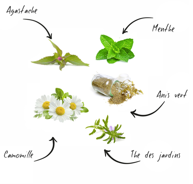 Tea Grow Kit