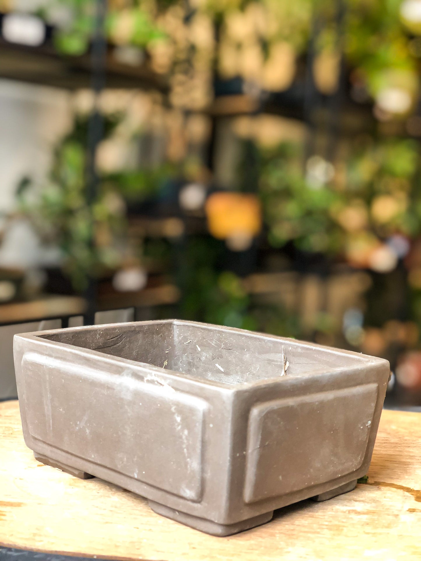 Bonsai Pot - Brown - Avalon - Plants, Gifts & Antiques