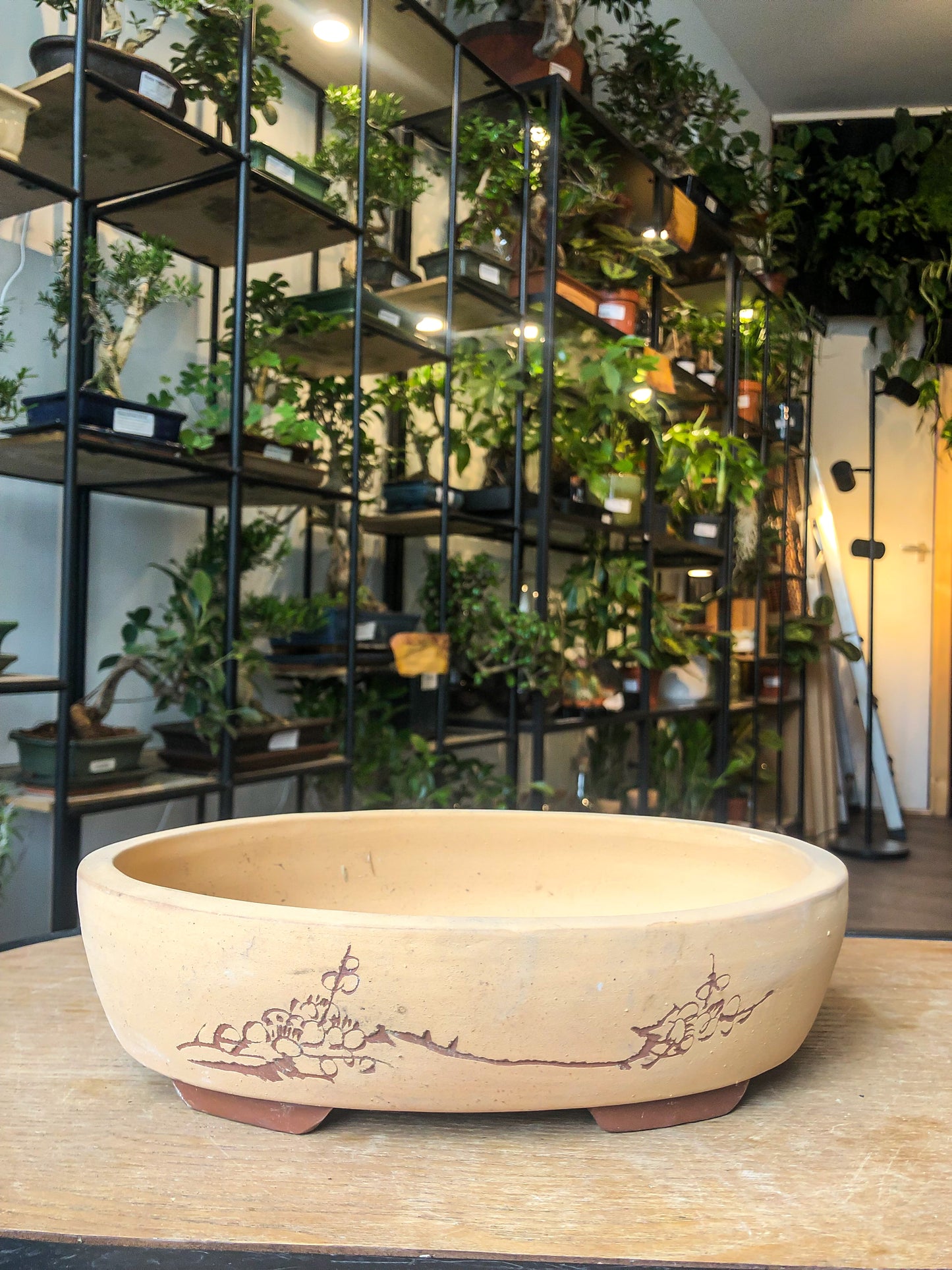 Bonsai Pot - with Chinese calligraphy - Avalon - Plants, Gifts & Antiques