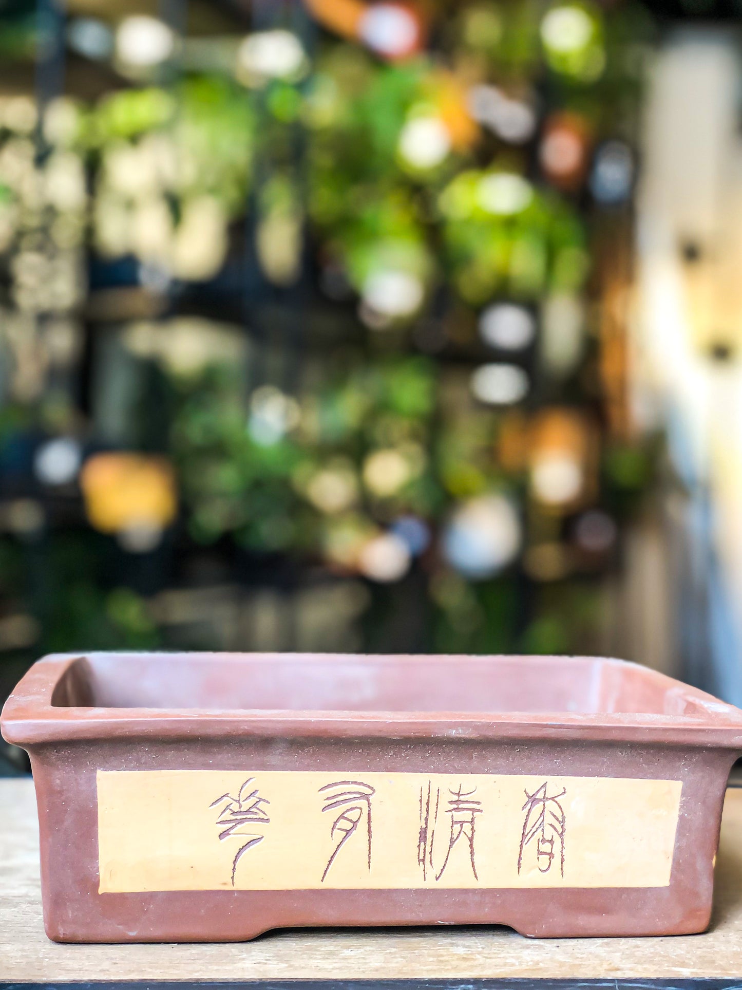 Bonsai Pot - Chinese Calligraphy | High Quality Ceramic - Avalon - Plants, Gifts & Antiques