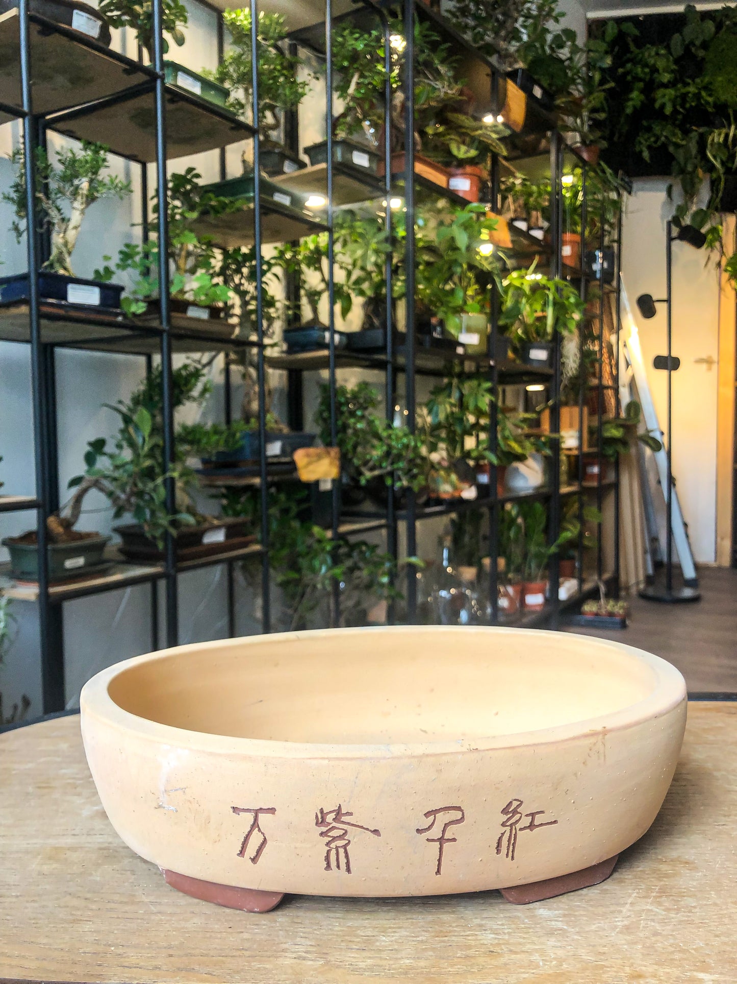 Bonsai Pot - with Chinese calligraphy - Avalon - Plants, Gifts & Antiques