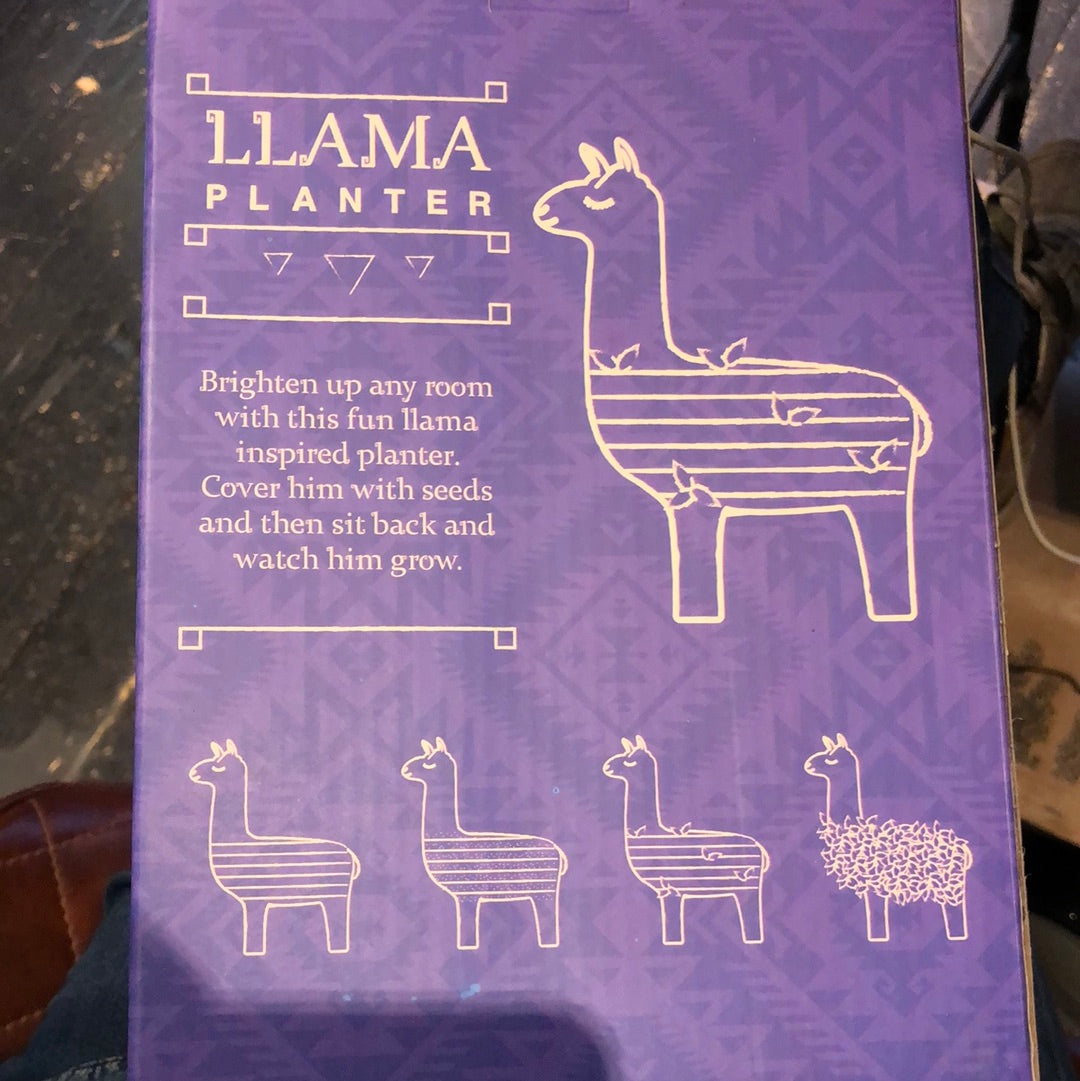 Green Lama - with Chia Seeds