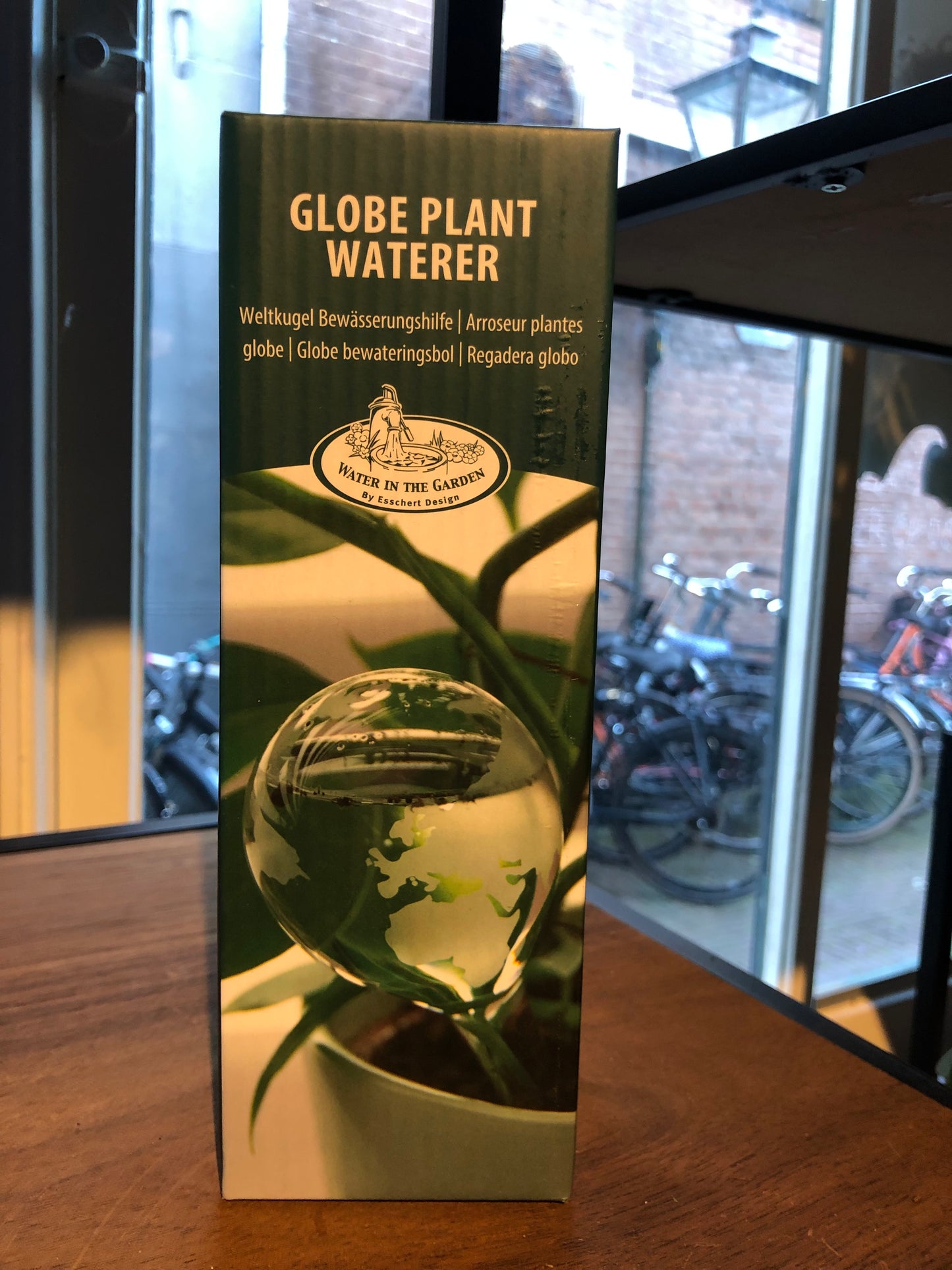 Self watering glass globe