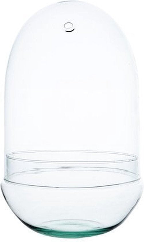 Terrarium - glass dome - Avalon - Plants, Gifts & Antiques