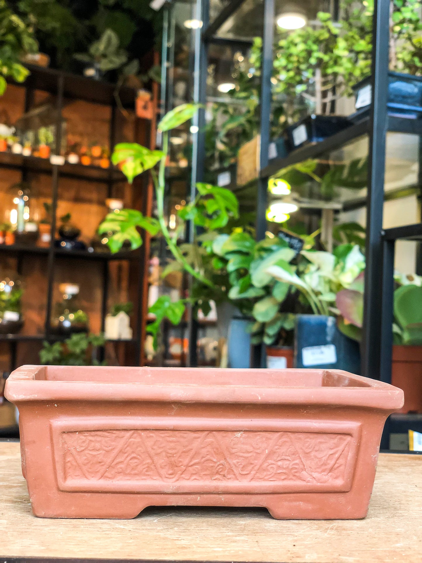 Bonsai Pot - Unique side patterns | High Quality Ceramic - Avalon - Plants, Gifts & Antiques