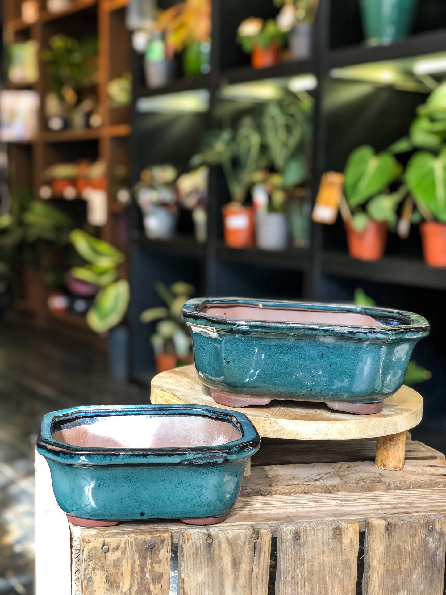 Bonsai Pot - Glazed Dark Blue