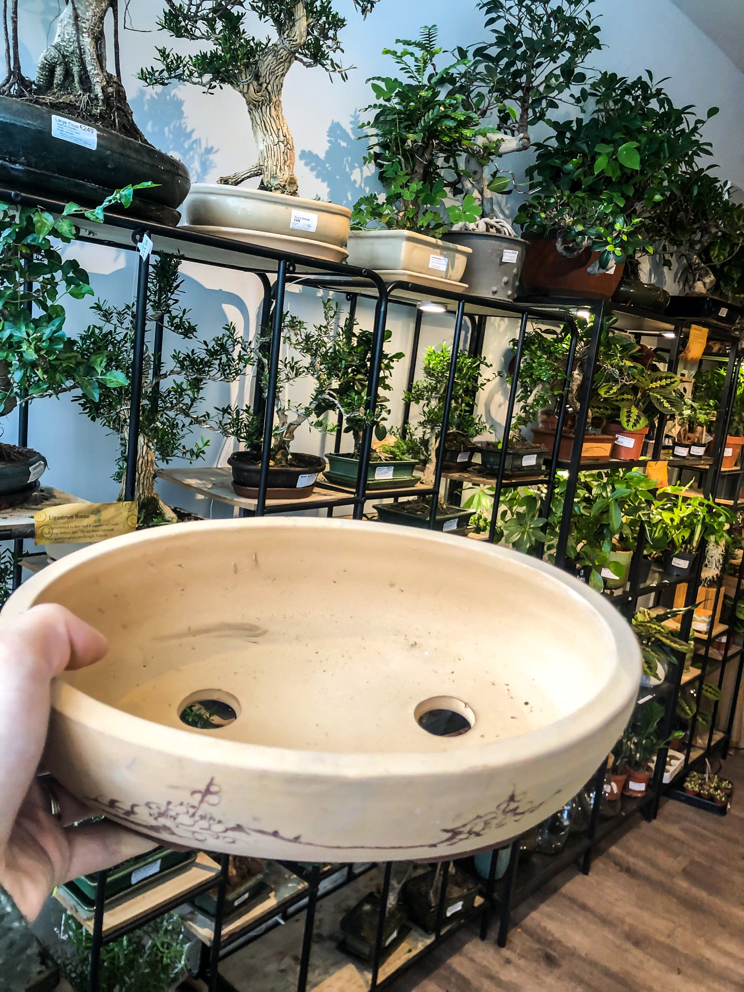 Bonsai Pot - with Chinese calligraphy - Avalon - Plants, Gifts & Antiques
