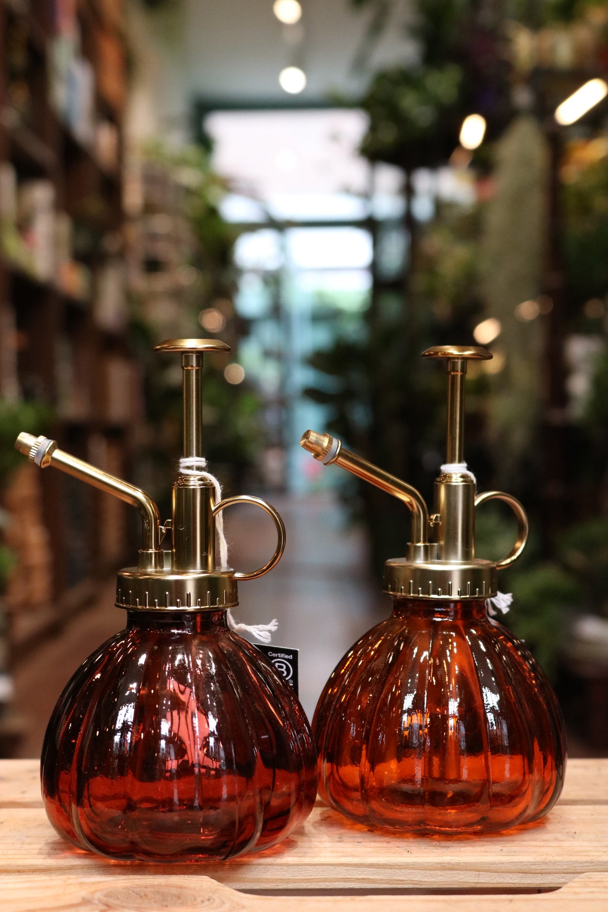 Glass spray bottle