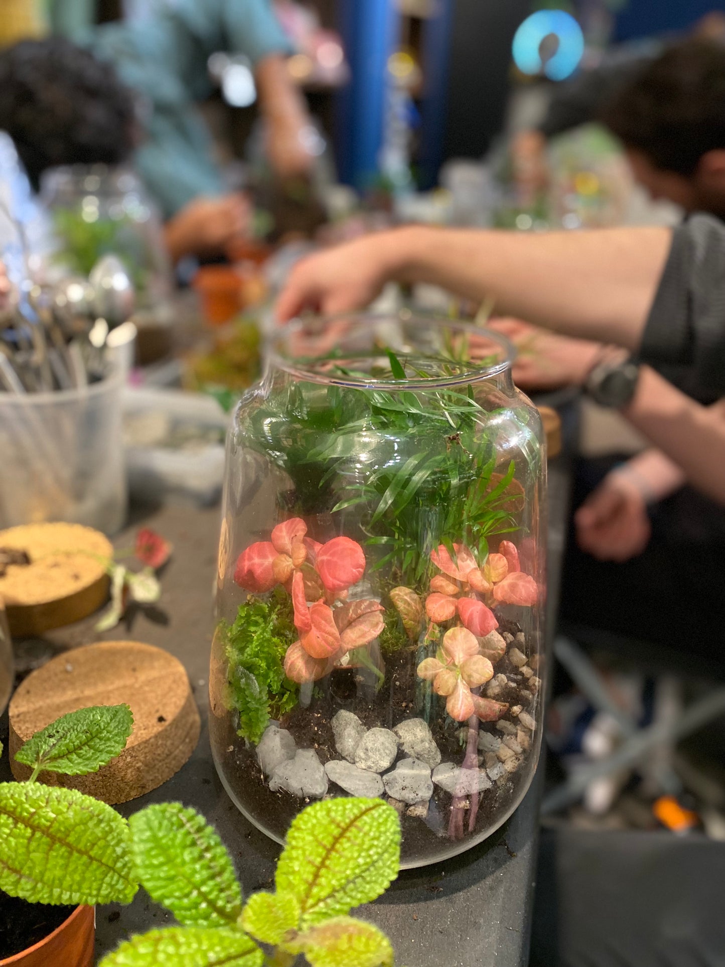Private Ecosystem Terrarium Workshop  | 6 people and up