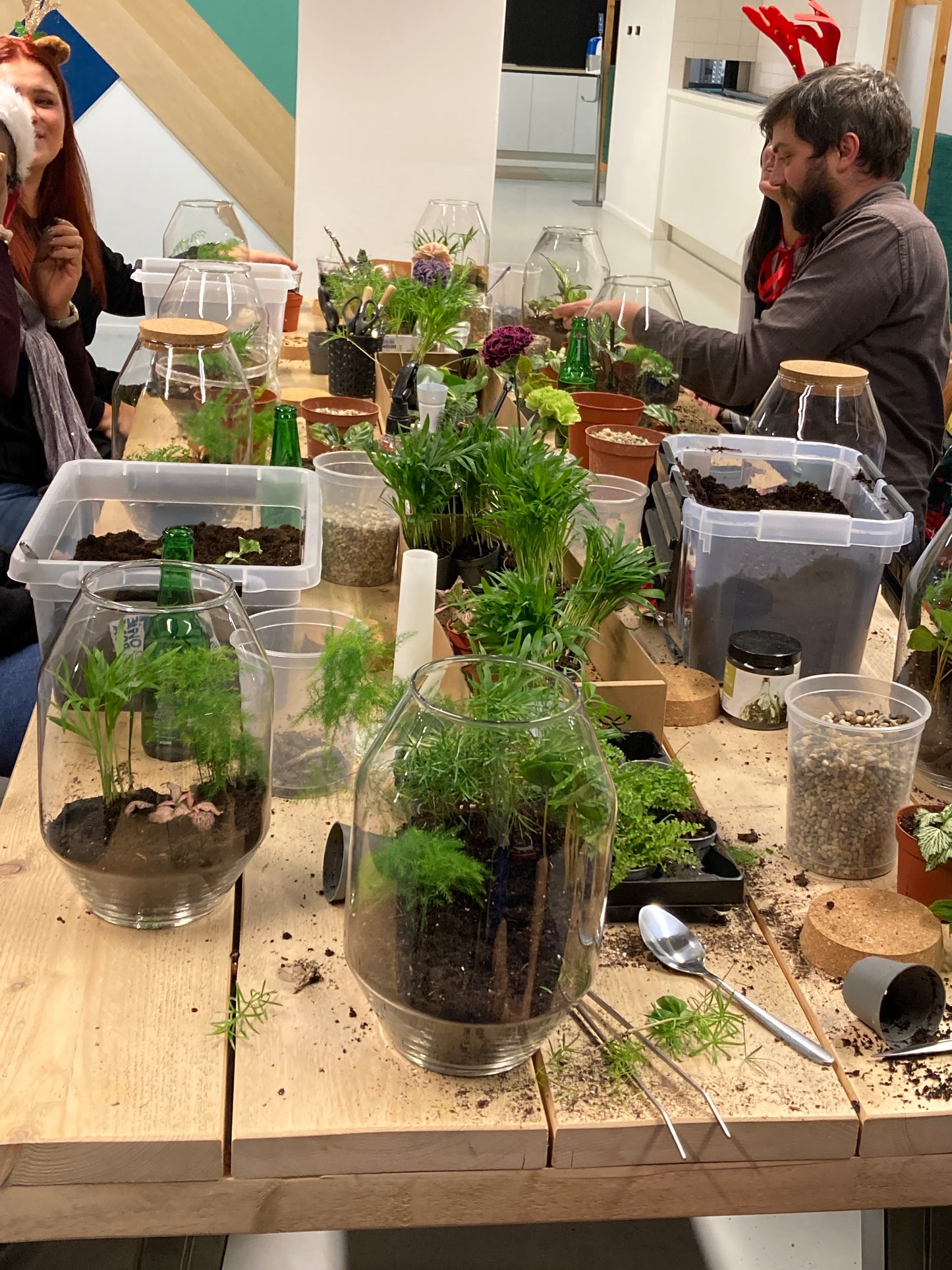Private Ecosystem Terrarium Workshop  | 6 people and up