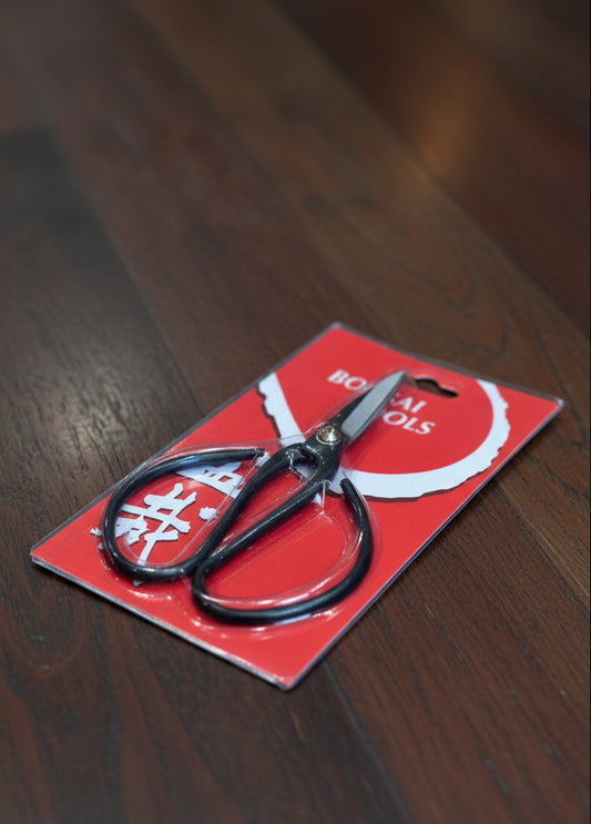 Bonsai Scissor