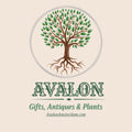 Avalon - Plants & Gifts