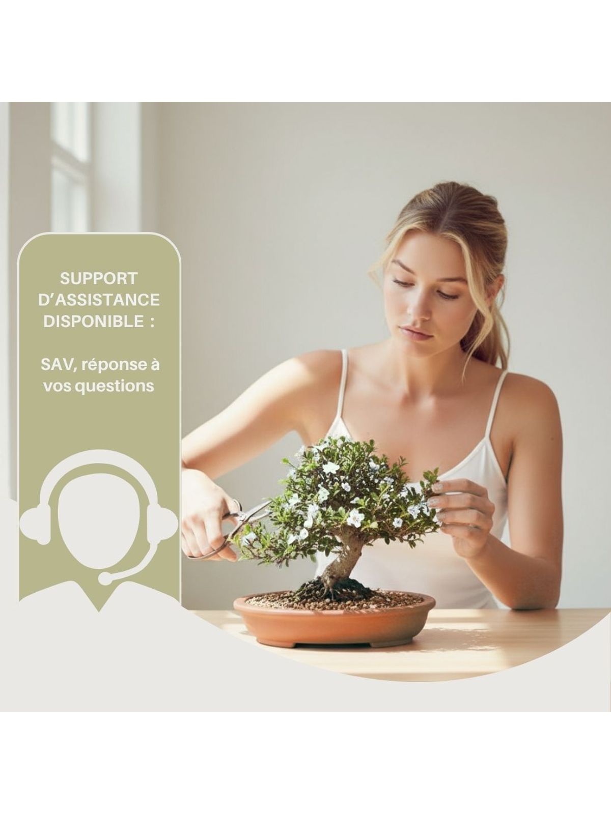 Cultivea Complete 10 Bonsai Growing Kit product image 6