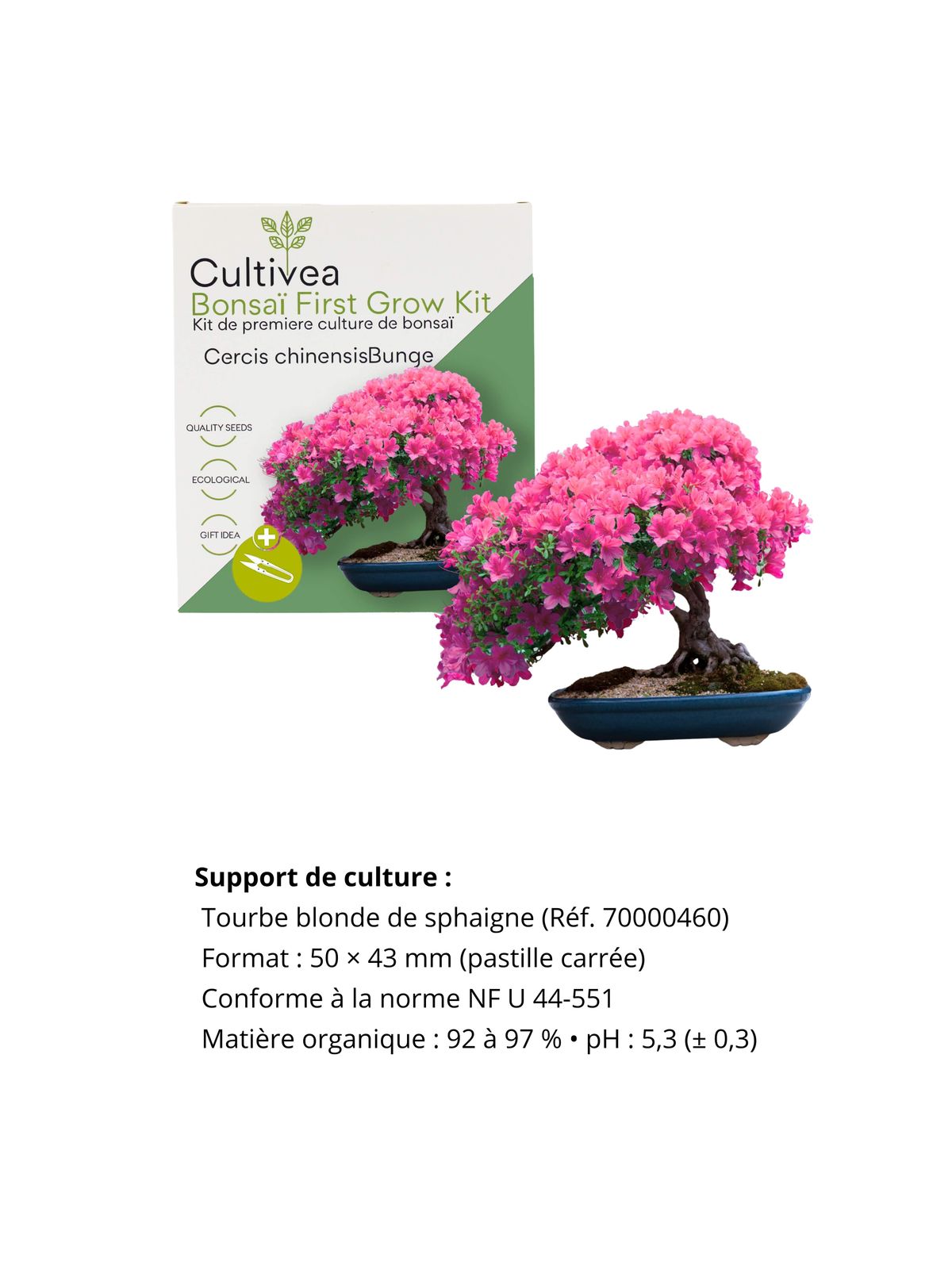 Cultivea First Bonsai Kit - Cercis Chinensis product image 8