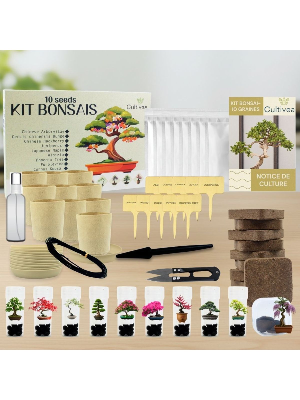Cultivea Complete 10 Bonsai Growing Kit product image 5