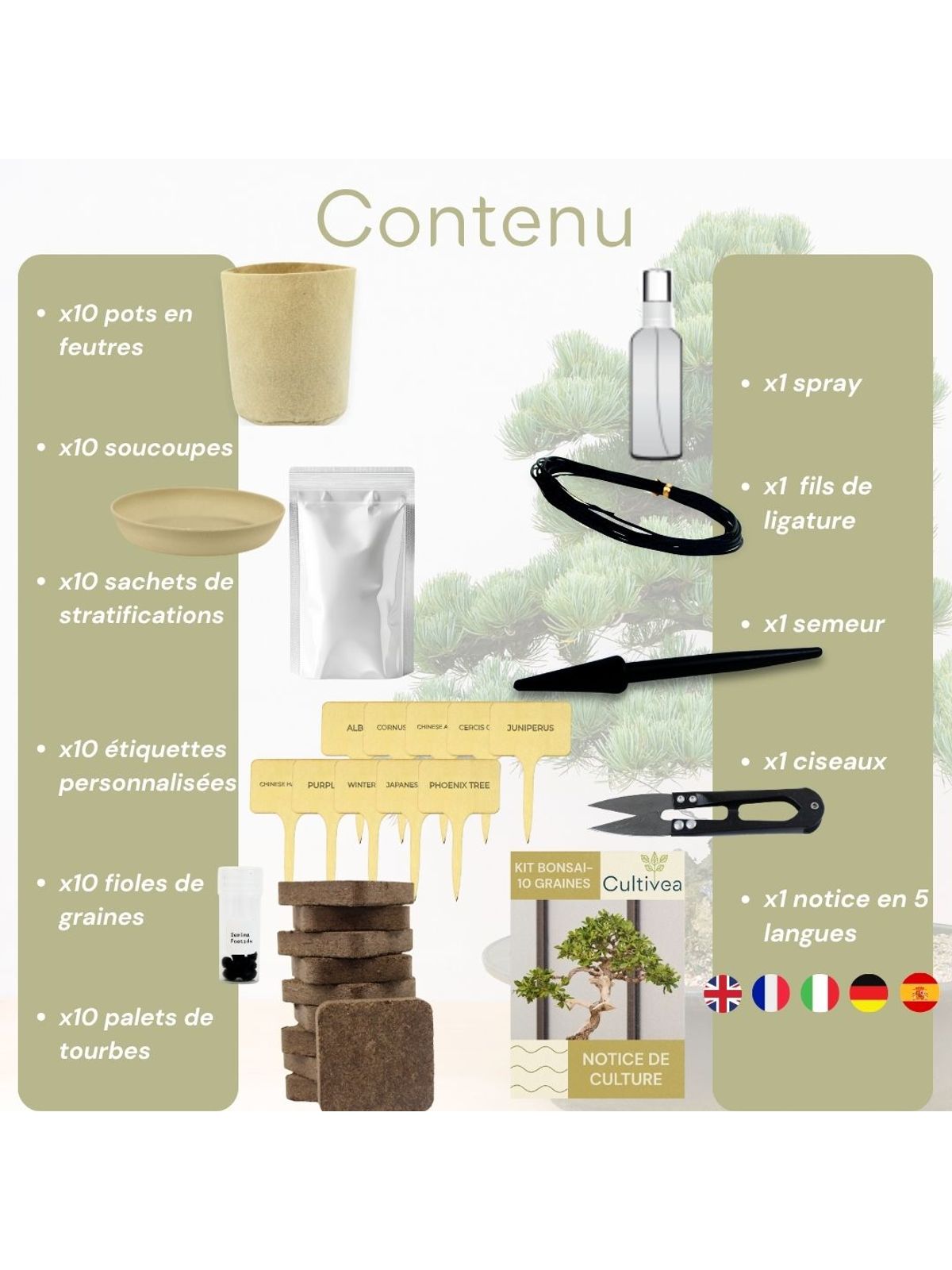 Cultivea Complete 10 Bonsai Growing Kit product image 3