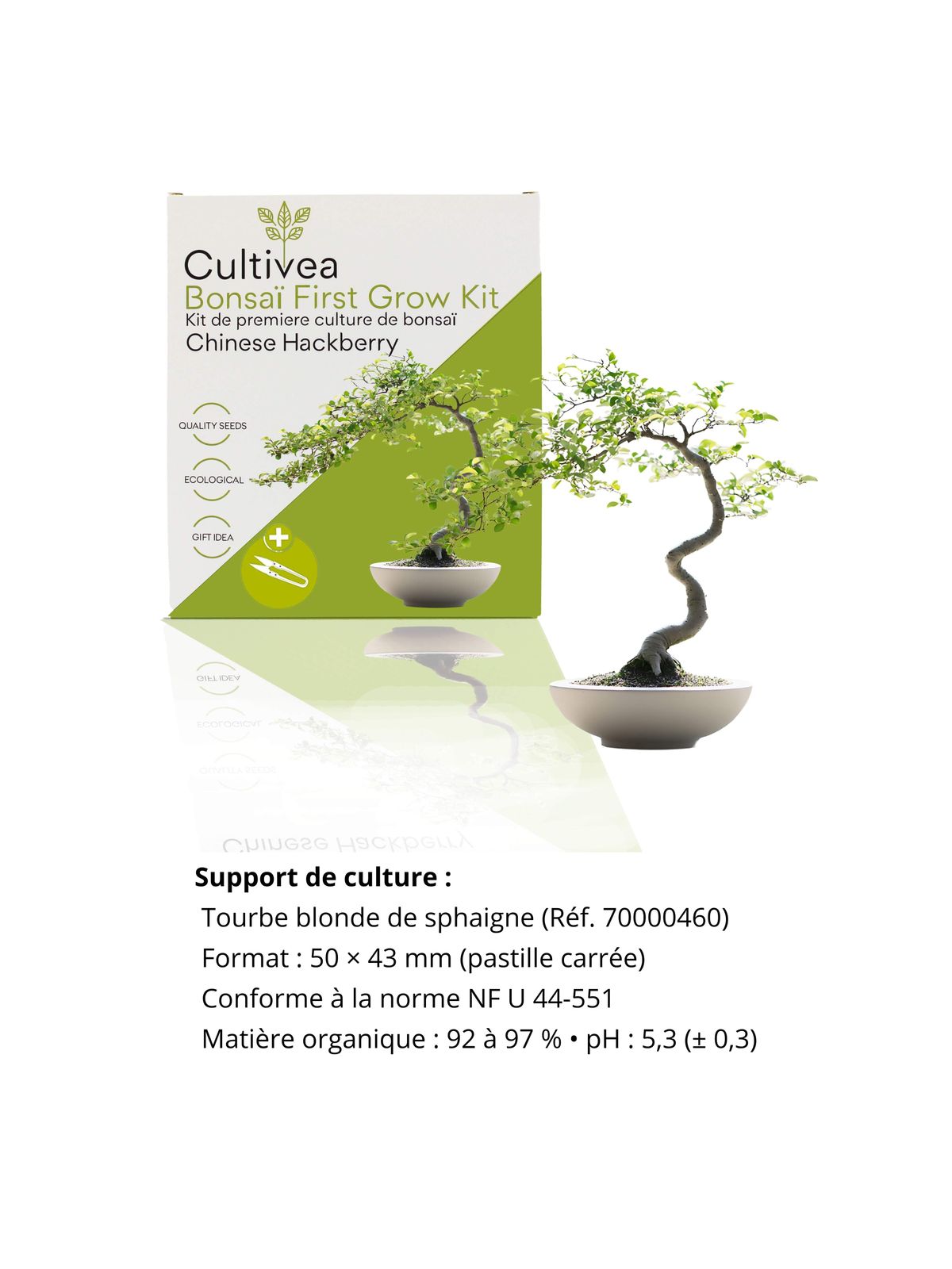 Cultivea First Bonsai Kit - Hackberry product image 8
