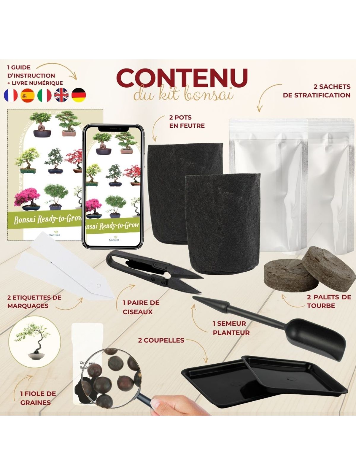 Cultivea First Bonsai Kit - Hackberry product image 2
