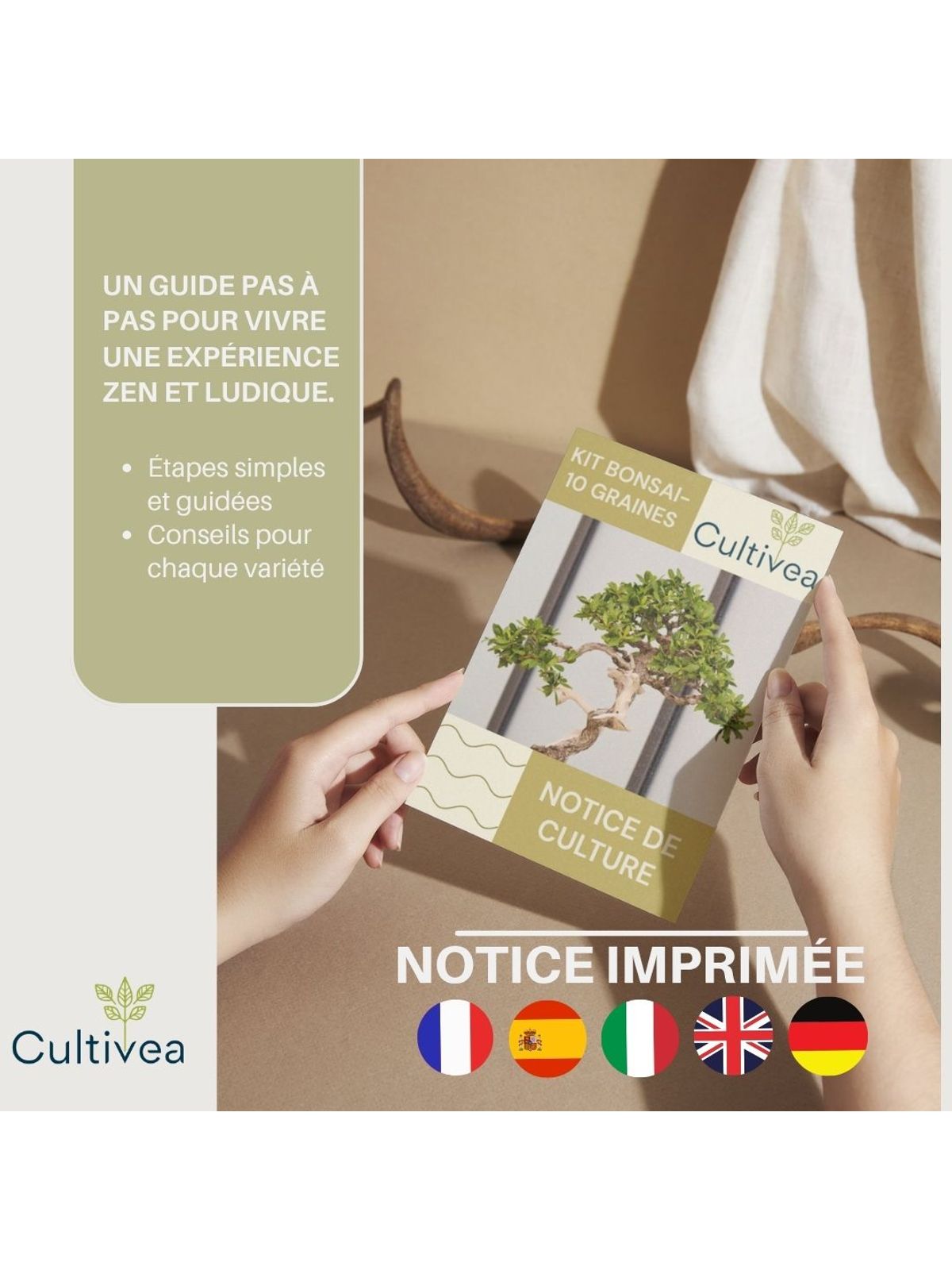 Cultivea Complete 10 Bonsai Growing Kit product image 4