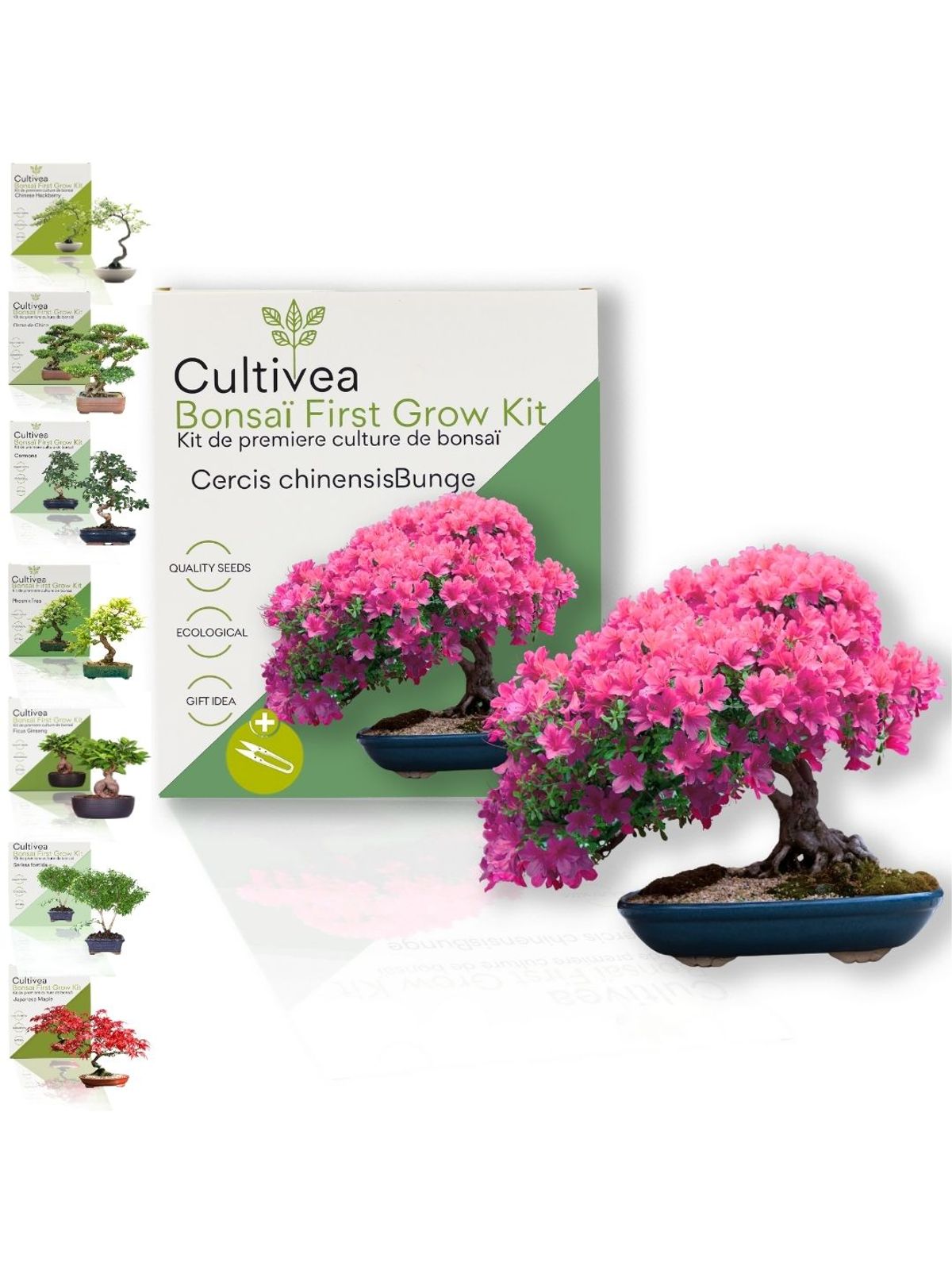 Cultivea First Bonsai Kit - Cercis Chinensis product image