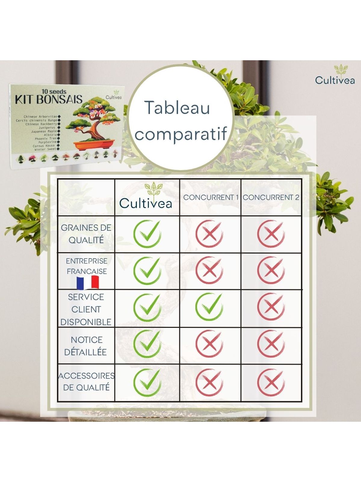 Cultivea Complete 10 Bonsai Growing Kit product image 8