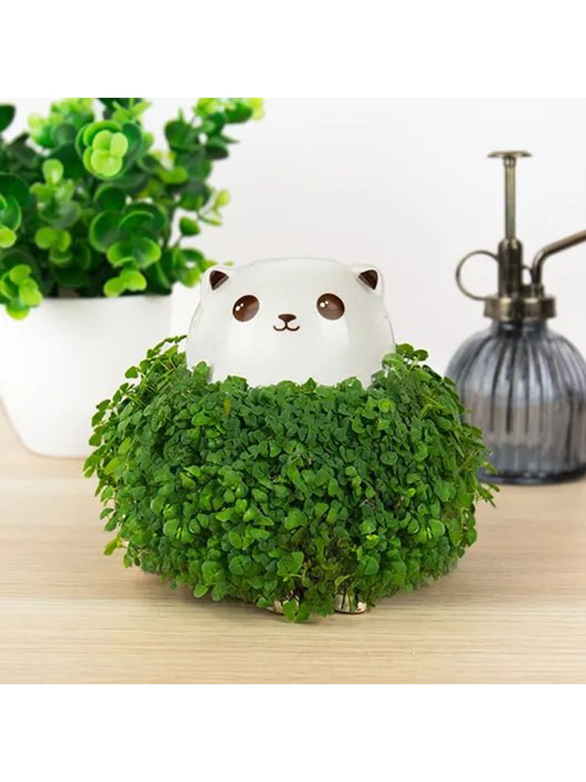Cat Chia Planter Grow Kit by Gift Republic