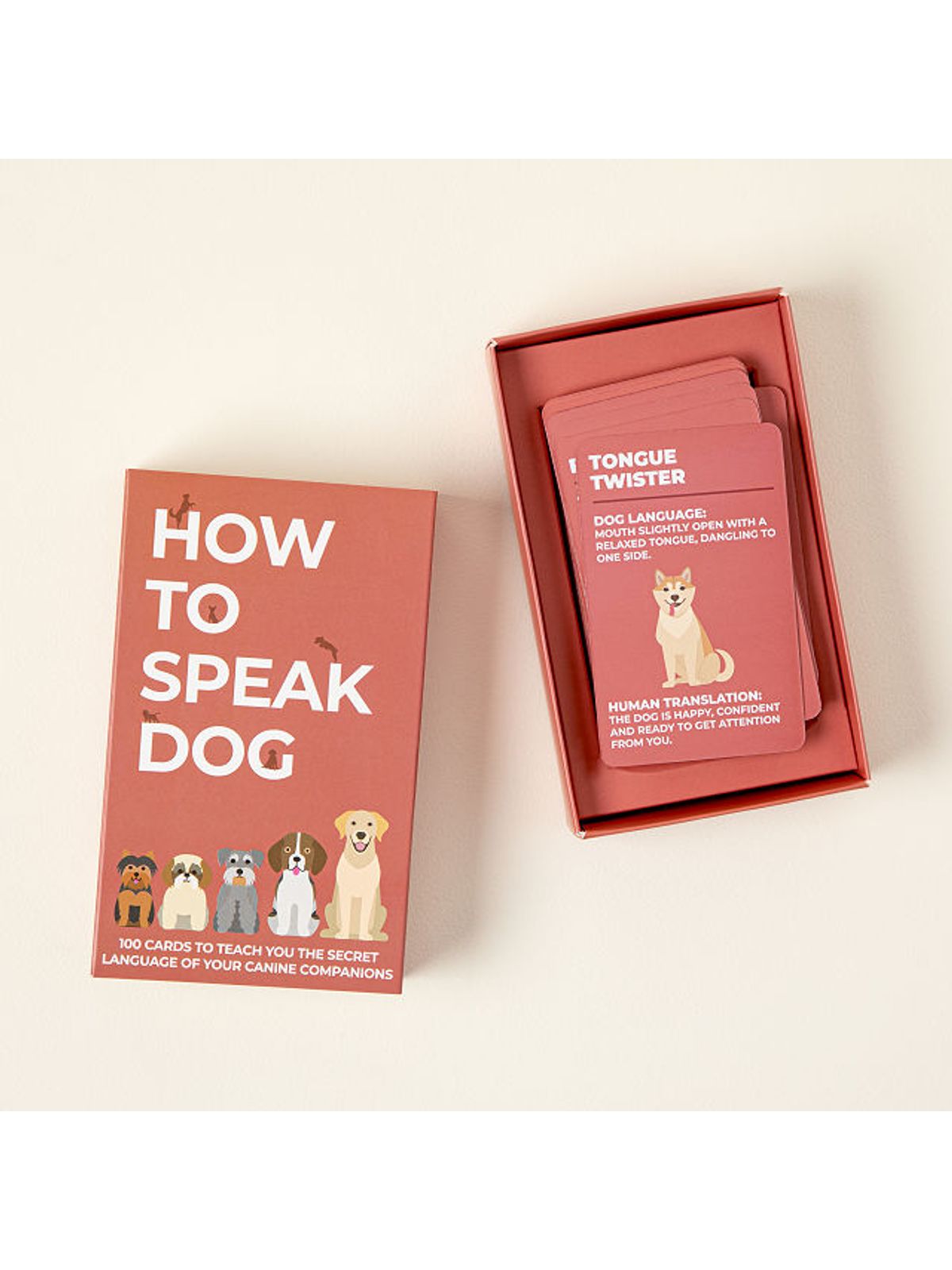 How to Speak Dog Card Set by Gift Republic