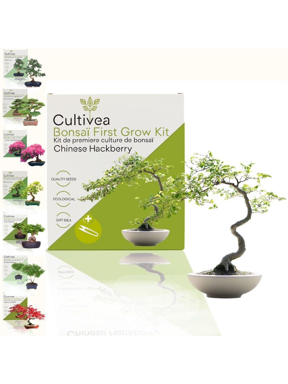 Cultivea First Bonsai Kit - Hackberry product image