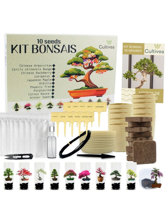 Cultivea Complete 10 Bonsai Growing Kit product image