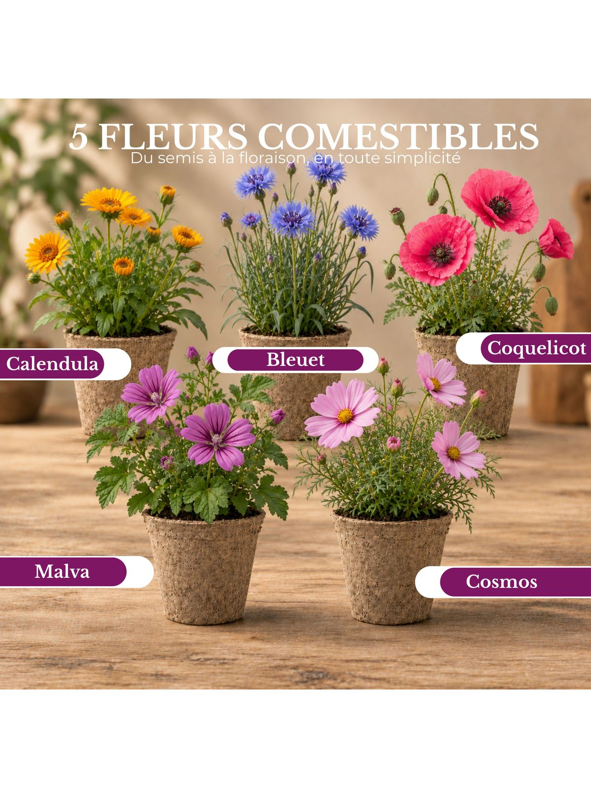 Cultivea Mini Edible Flower Growing Kit product image 2
