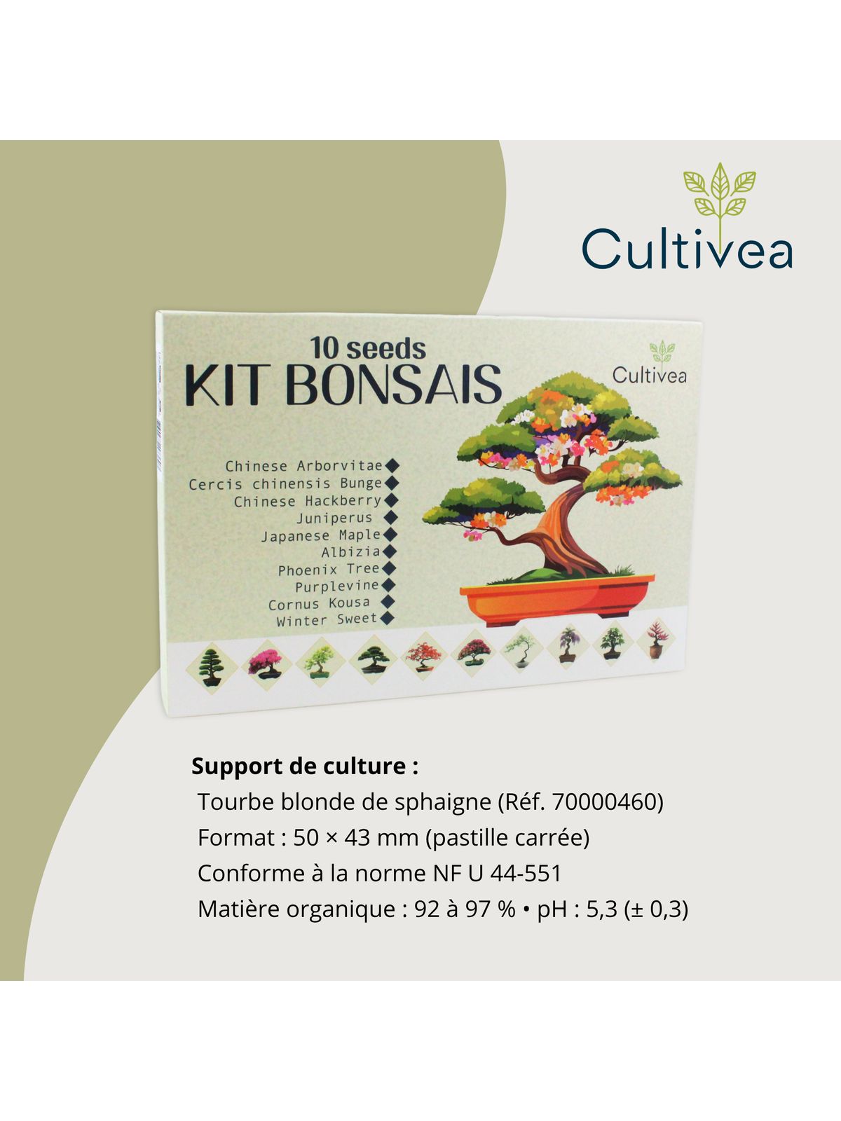 Cultivea Complete 10 Bonsai Growing Kit product image 9
