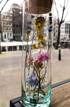 Lade das Bild in den Galerie-Viewer, Dried Flowers in a Tube - Avalon - Plants, Gifts &amp; Antiques
