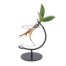 Laad afbeelding in Galerijviewer, Hydroponics Water Globe - VA series - Avalon - Plants, Gifts &amp; Antiques
