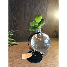 Load image into Gallery viewer, Hydroponics Water Globe - VA series - Avalon - Plants, Gifts &amp; Antiques
