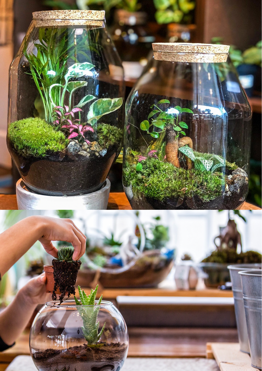Terrarium Workshop - Leiden | 20 Dec Saturday