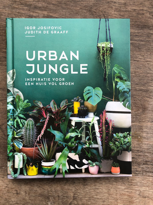 Urban Jungle - Avalon - Plants, Gifts & Antiques