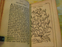 Load image into Gallery viewer, Secrets Merveilleux de la Magie Naturelle &amp; Cabalistique - Petit Albert - Alchemy - Lyon 1706 - Avalon - Plants, Gifts &amp; Antiques
