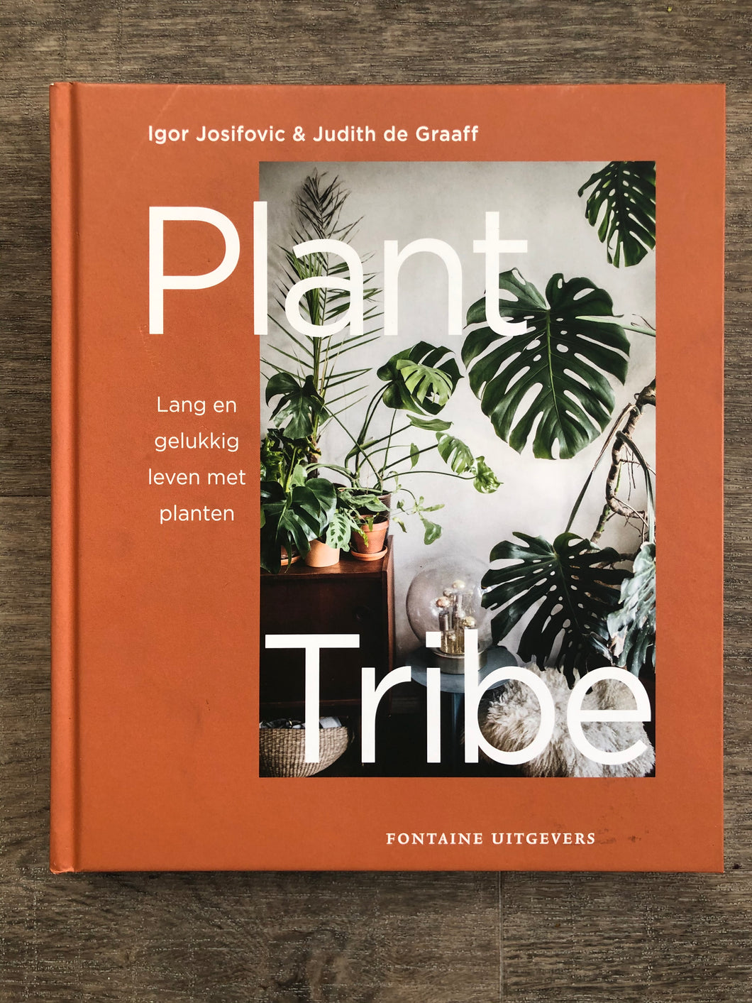 Plant Tribe - Avalon - Plants, Gifts & Antiques