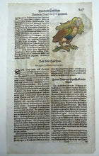 Lade das Bild in den Galerie-Viewer, Conrad Gesner (1516-1565) - One leaf 2 woodcuts on Mythological Animal - Harpy; Hazel Grouse- 1669 - Avalon - Plants, Gifts &amp; Antiques
