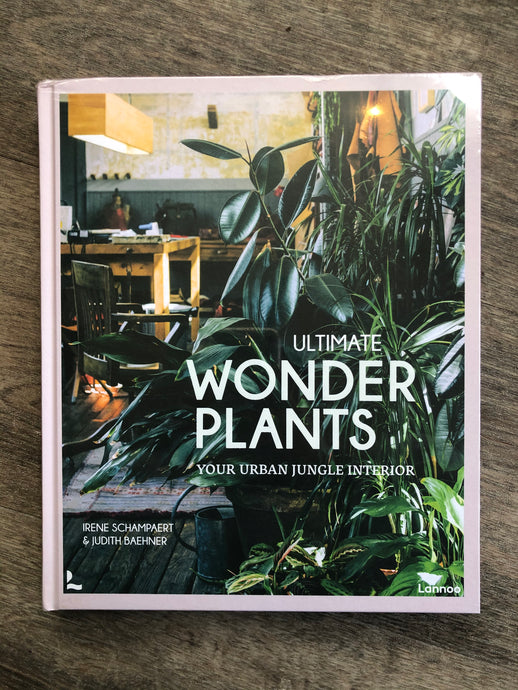 Ultimate Wonder Plants - Avalon - Plants, Gifts & Antiques